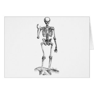 Frontal vintage drawing of a waving skeleton