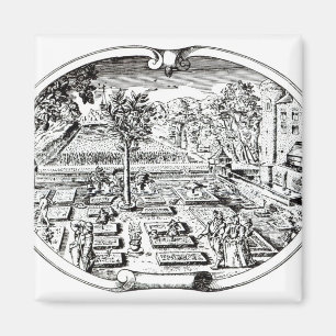 Frontispiece, from 'The Herball', by John Gerard ( Magnet