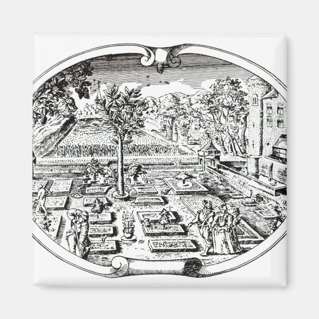 Frontispiece, from 'The Herball', by John Gerard ( Magnet (Front)