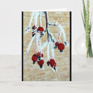 Frost Covered Berries Thinking Of You Card