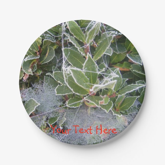frost covered holly and cobweb christmas design paper plate (Front)