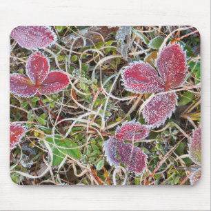 Frost covered leaves, Canada Mouse Mat