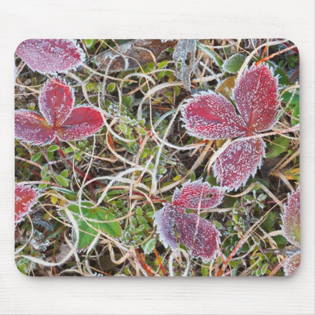 Frost covered leaves, Canada Mouse Mat (Front)