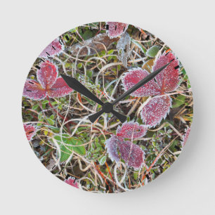Frost covered leaves, Canada Round Clock