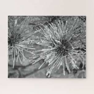 Frost Covered Pine Needles in Black and White Jigsaw Puzzle