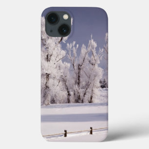 Frost Covered Trees and Fence, Colorado iPhone 13 Case