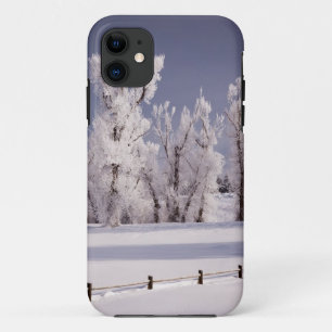 Frost Covered Trees and Fence, Colorado iPhone 11 Case