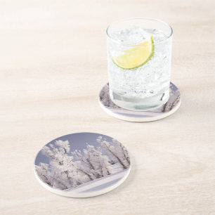 Frost Covered Trees and Fence, Colorado Coaster