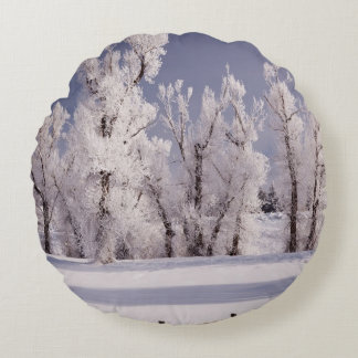 Frost Covered Trees and Fence, Colorado Round Cushion
