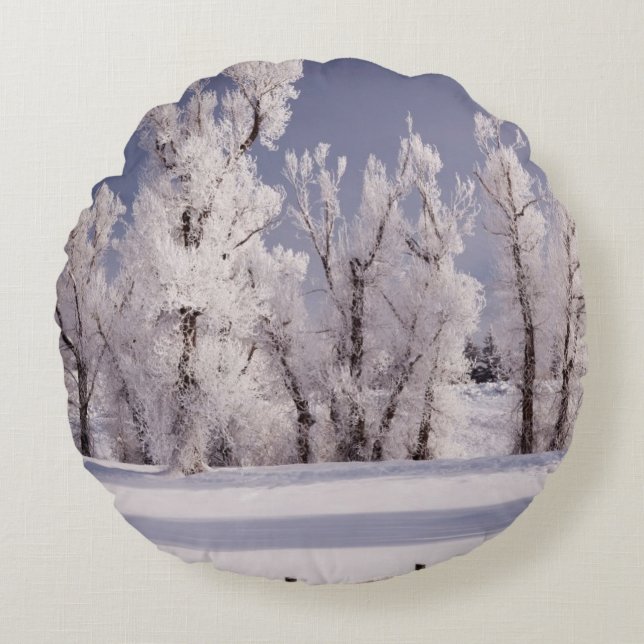 Frost Covered Trees and Fence, Colorado Round Cushion (Front)