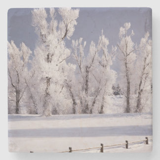 Frost Covered Trees and Fence, Colorado Stone Coaster