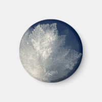 Frost