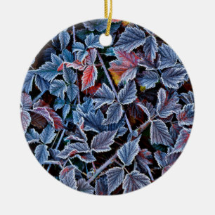 Frost on autumn leaves, Oregon Ceramic Tree Decoration