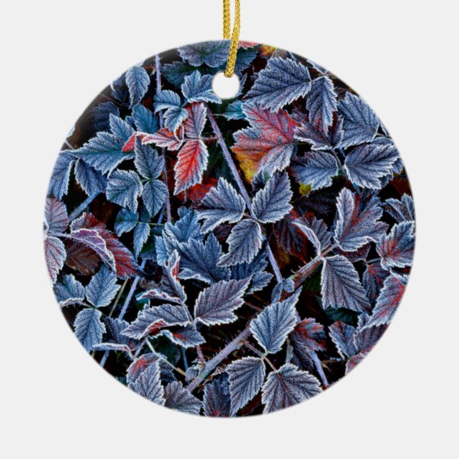 Frost on autumn leaves, Oregon Ceramic Tree Decoration (Front)