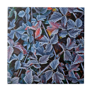 Frost on autumn leaves, Oregon Tile