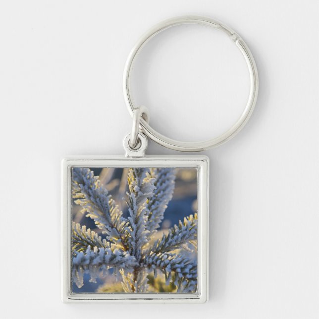 Frost on evergreen tree, Homer, Alaska Key Ring (Front)