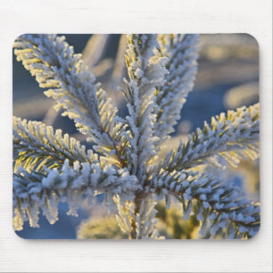 Frost on evergreen tree, Homer, Alaska Mouse Mat