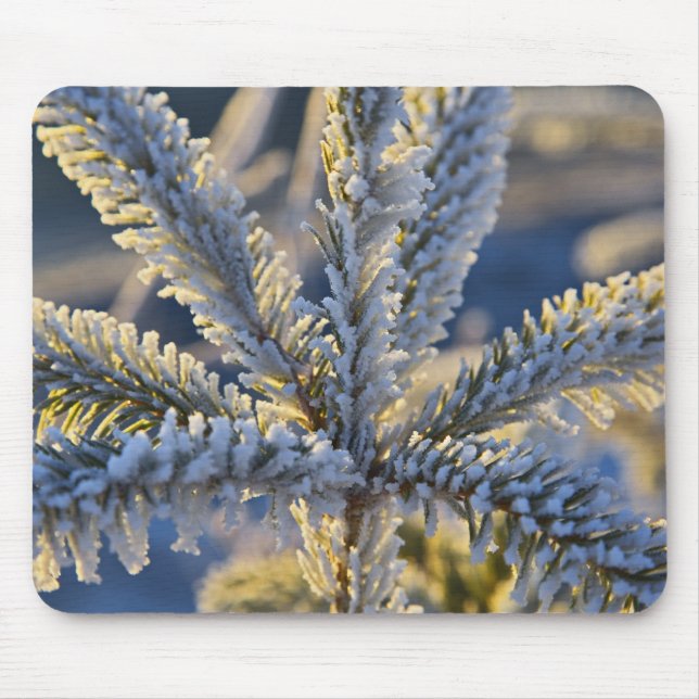Frost on evergreen tree, Homer, Alaska Mouse Mat (Front)