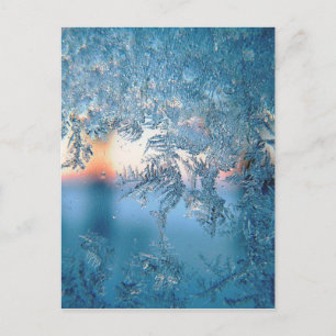 Frost On Glass Postcard