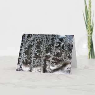Frost on Window Holiday Card