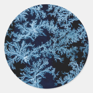 Frost patterns close-up, California Classic Round Sticker