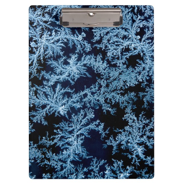 Frost patterns close-up, California Clipboard (Front)