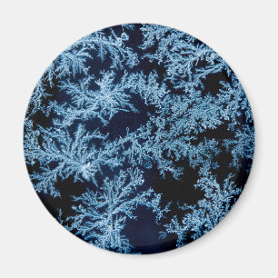 Frost patterns close-up, California Magnet