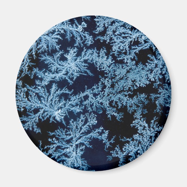 Frost patterns close-up, California Magnet (Front)