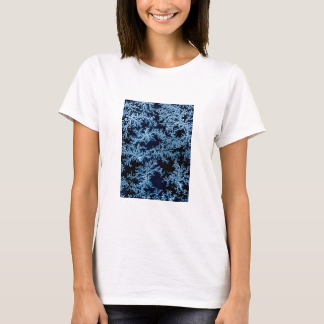 Frost patterns close-up, California T-Shirt (Front)