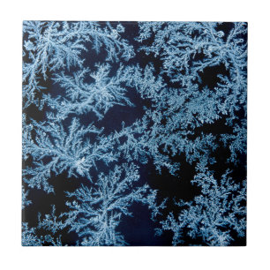 Frost patterns close-up, California Tile