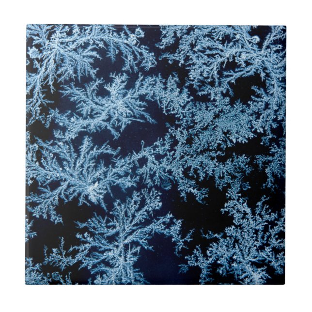 Frost patterns close-up, California Tile (Front)