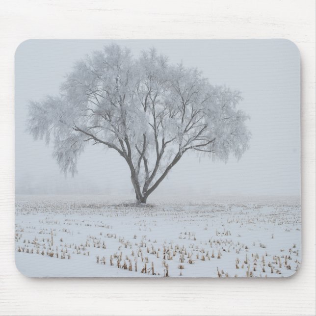 Frost Upon a Lonely Tree Mouse Mat (Front)