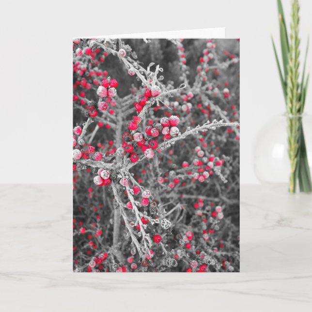 Frosted Berries Card (Front)
