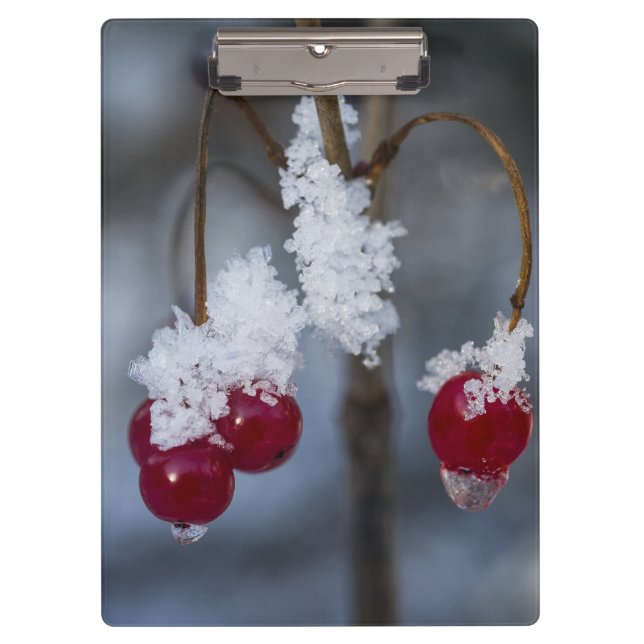 Frosted Berries Clipboard (Front)