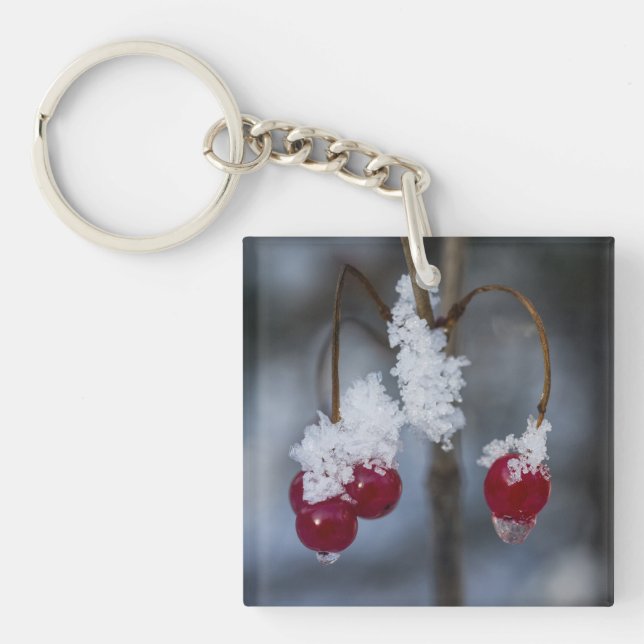 Frosted Berries Key Ring (Front)