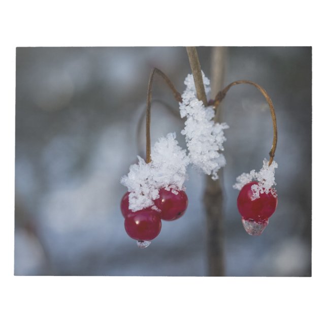 Frosted Berries Notepad (Front)