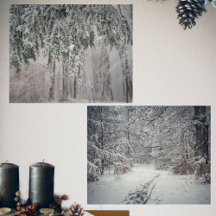 Frosted branches and a snow-covered forest