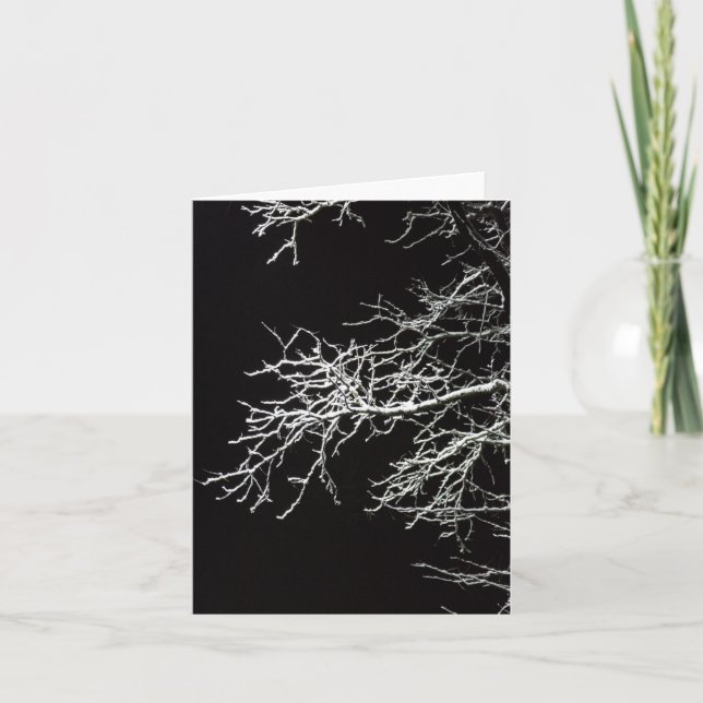 Frosted Branches - Blank Folded Card (Front)