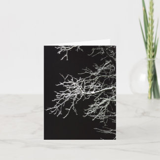 Frosted Branches - Blank Folded Card