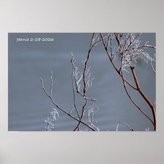 Frosted Bush Poster
