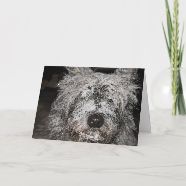 Frosted Cairn Holiday Card (Front)