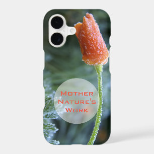 Frosted California Poppy Flower Photo Custom