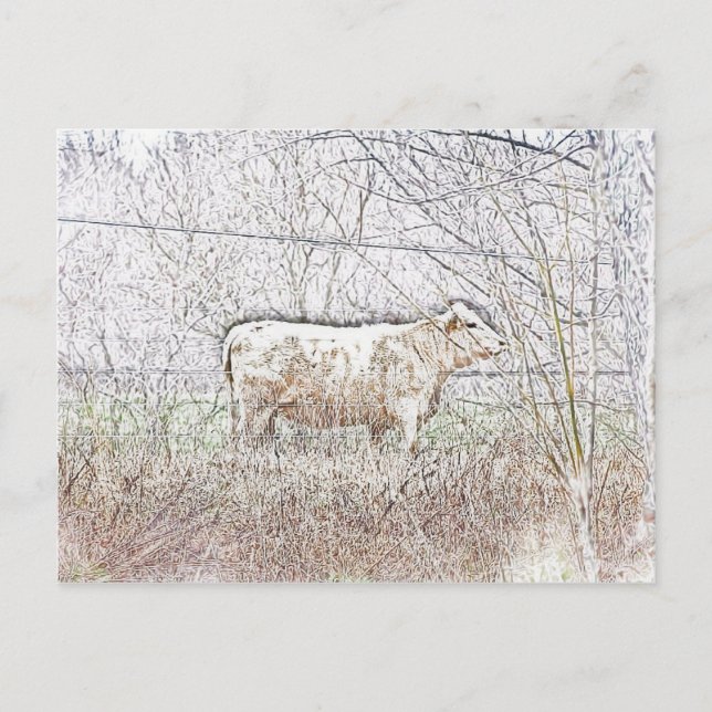 Frosted Cow Postcard (Front)