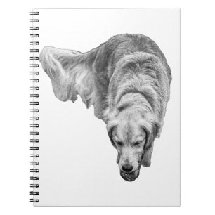 Frosted Dawn Reflections Notebook