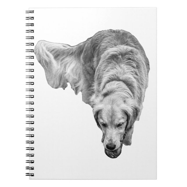 Frosted Dawn Reflections Notebook (Front)