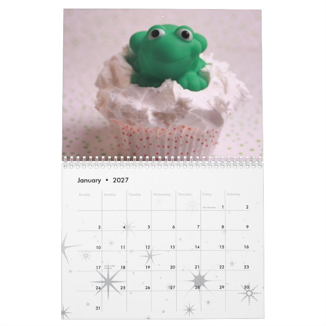 Frosted Fakes 2009 Calendar (Jan 2027)