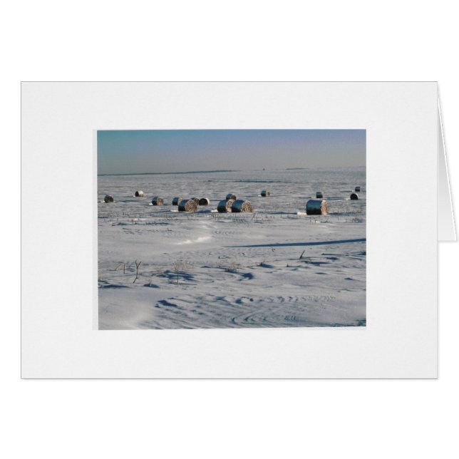 frosted flakes (Front Horizontal)