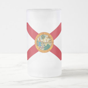 Frosted Glass Mug with flag of Florida, USA