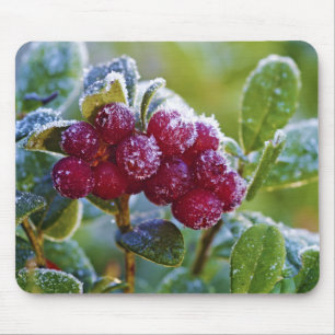 Frosted lingonberries mouse mat