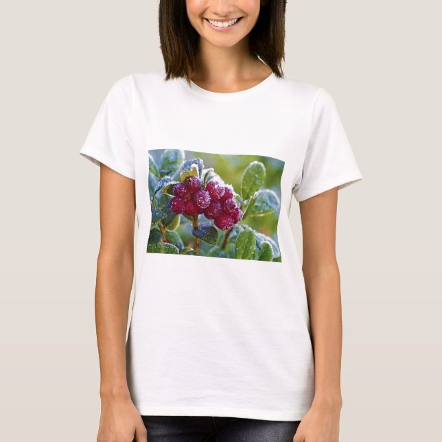 Frosted lingonberries T-Shirt (Front)